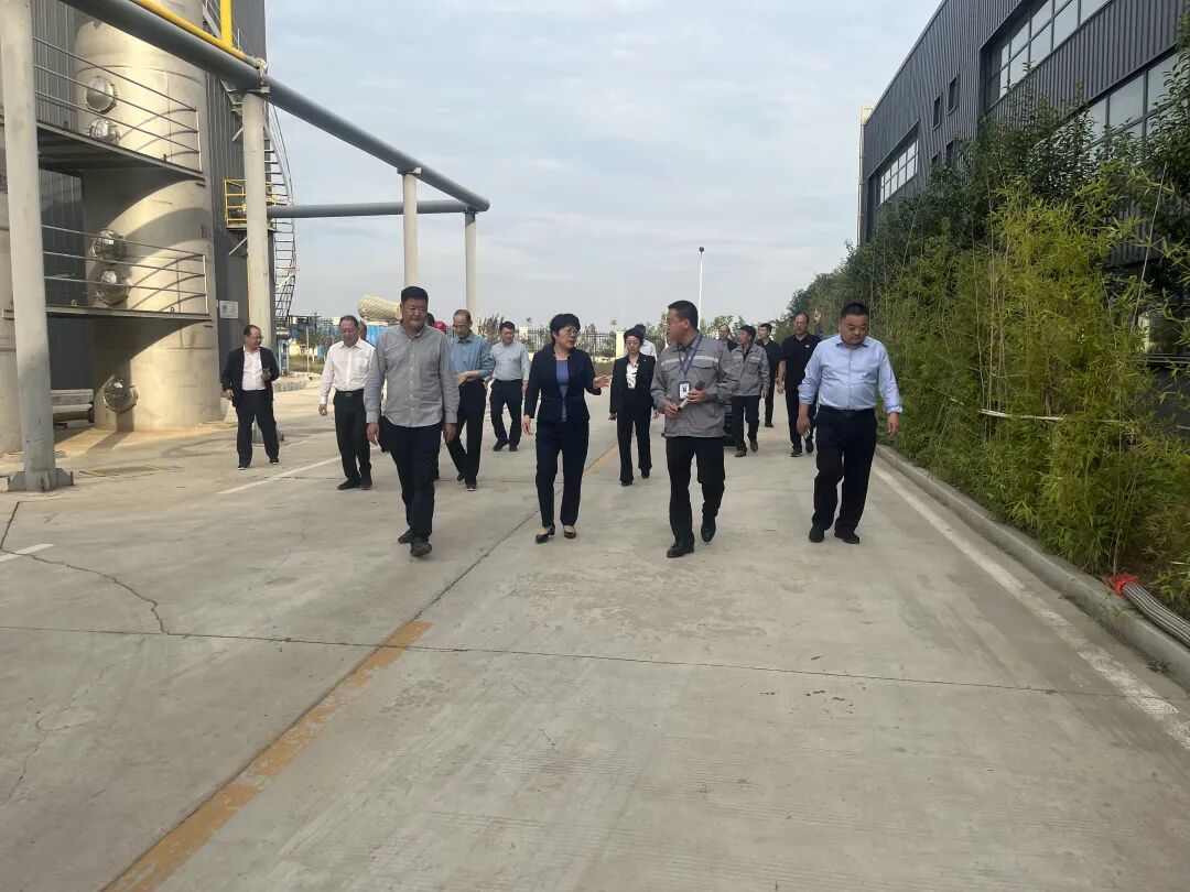 平顶山市人大常委会副主任李玉洁一行莅临我司下属单位新茂环保调研工作